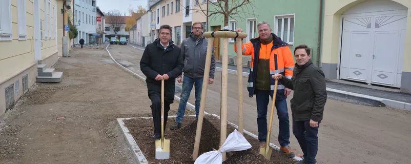 Bürgermeister Peter Eisenschenk, René Neuhold (Gärtnerei Neuhold), Stadtgärtner Mario Jaglarz und Christoph Ertl 